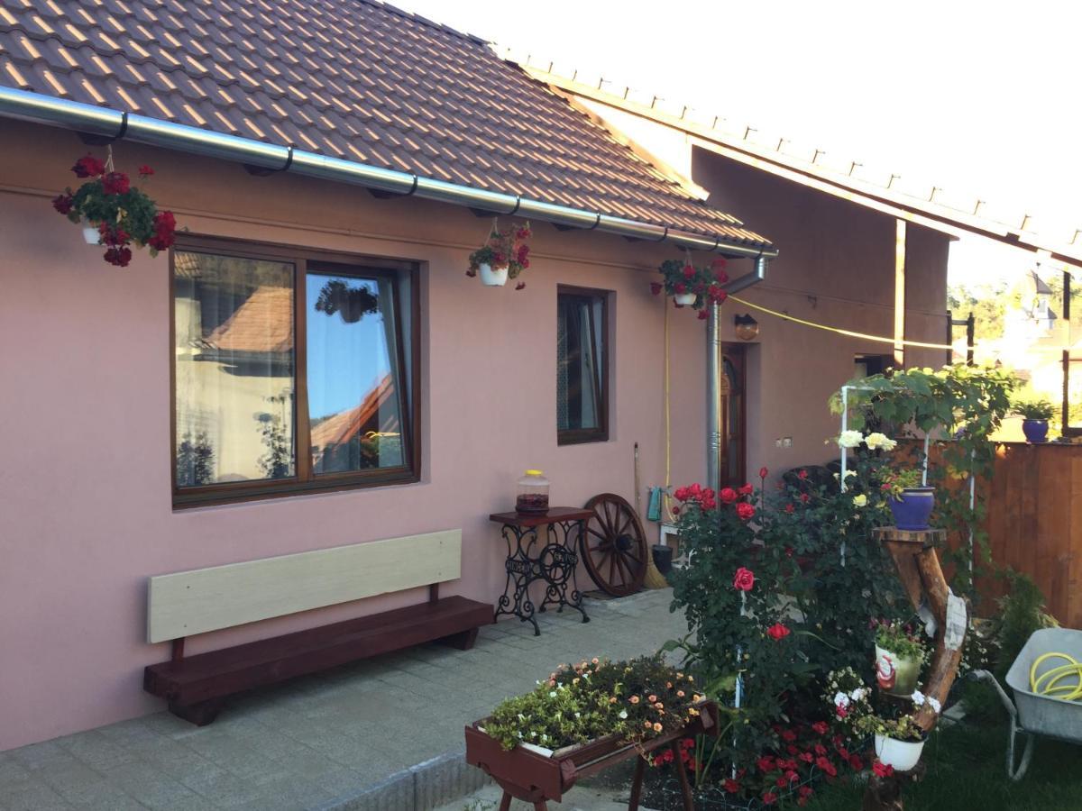 Willa Casa Rustica Cu Terasa Mediaş Zewnętrze zdjęcie