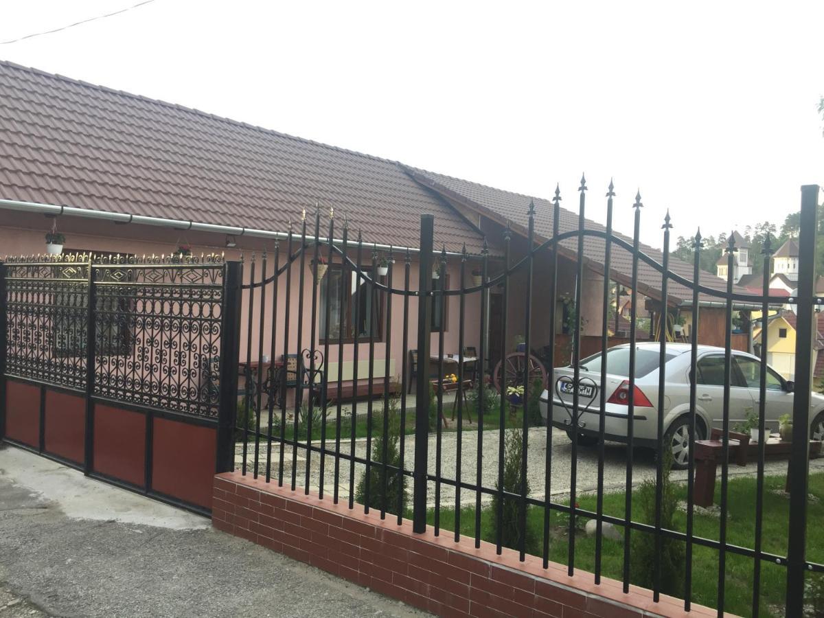 Willa Casa Rustica Cu Terasa Mediaş Zewnętrze zdjęcie
