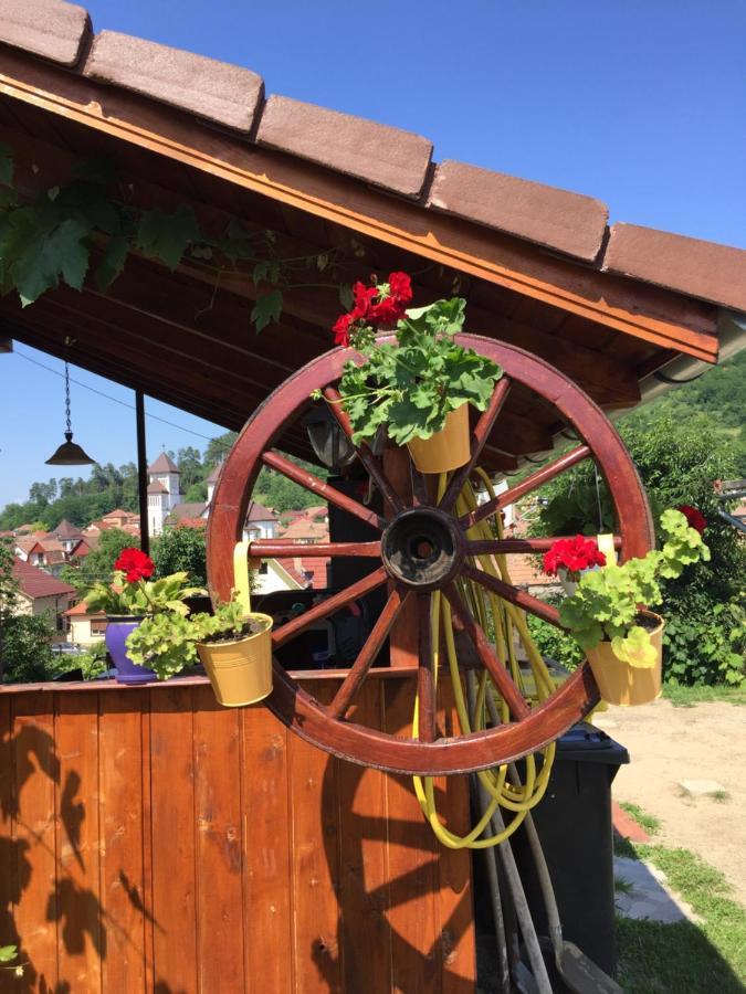 Willa Casa Rustica Cu Terasa Mediaş Zewnętrze zdjęcie