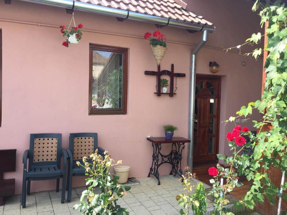 Willa Casa Rustica Cu Terasa Mediaş Zewnętrze zdjęcie