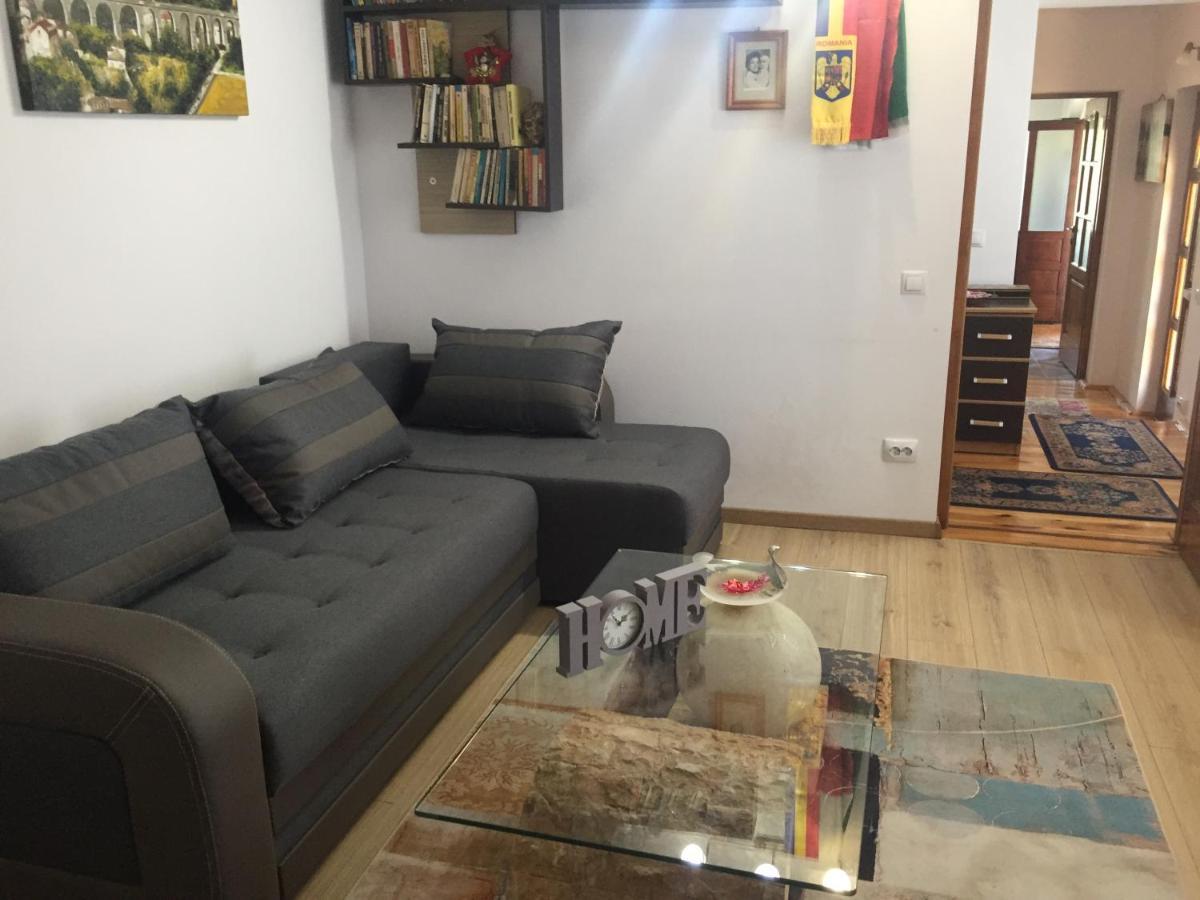Willa Casa Rustica Cu Terasa Mediaş Zewnętrze zdjęcie