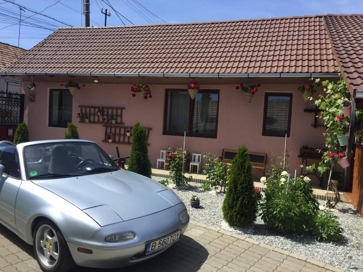 Willa Casa Rustica Cu Terasa Mediaş Zewnętrze zdjęcie
